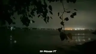 Night status ❤️ Love status ❤️ WhatsApp status ❤️ Romantic Status ❤️ Sad status ❤️