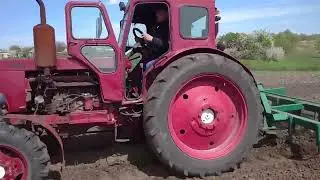 Культивация нашего 2-ого огорода после уборки картофеля #tractorvideo #youtube #tractor #т40ам #т40
