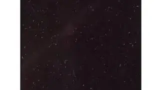 Jony- ты меня пленила. Live