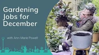 Decorating Your Winter Garden & Protecting Plants From Frost | December Gardening Jobs | PrimroseTV