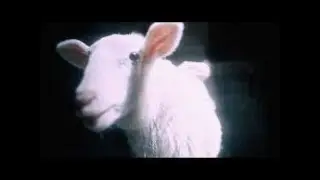 SALUKI, Toxi$ - VENTONYL (English Subtitles)