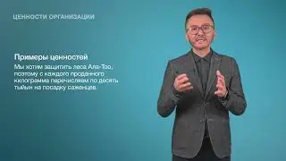 5. Ценности организации