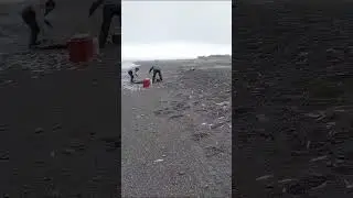 РЫБЫ ВАЛОМ! ЖИРУЮТ ВСЕ!