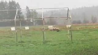 17/11/26 Maks-PN Fido’s Farm