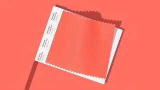 Pantone Color of the Year 2019 Living Coral 1 |  Primatela