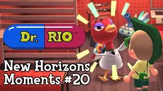 New Horizons Moments #20 (Animal Crossing)