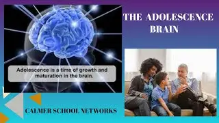 ADOLESCENT BRAIN PART 2