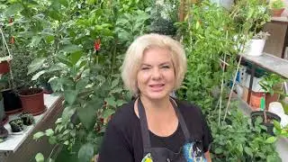 Прогулянка садочком та огляд рослин після пересадок