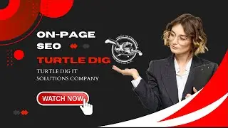 What is On-Page SEO | Search Engine Optimization Course in Lahore | By Turtle Dig IT Solutions