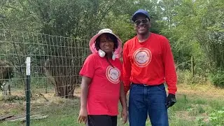 2023 FULL GARDEN TOUR - Grow Your Groceries 🍅🫑🌽