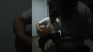YEŞİL BAŞLI TELLİ TURNAM İSA AKTAŞ