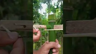 How to make mini bamboo 