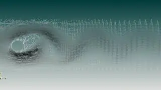 Flow over an oscillating cylinder