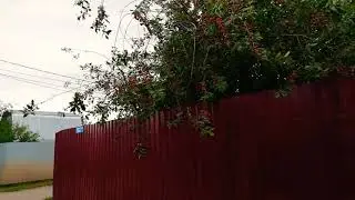 Идём на озеро! Что мы ели по дороге? Долго ли идти туда?