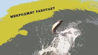 ХОТЕЛ ПОЛОВИТЬ ОКУШКОВ, А ТУТ ОНА........ ЩУКА НА МИКРОДЖИГ