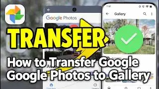 How to Transfer Google Photos to Gallery