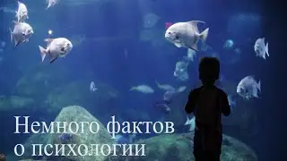 Расслабляющее видео с фактами из психологии