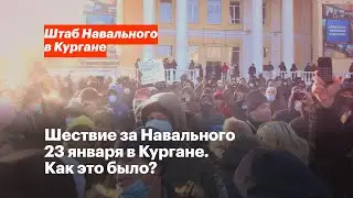 Шествие за Навального 23 января в Кургане. Как это было?