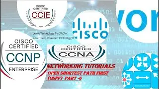 OSPF Part 6 | What is Type 2 LSA or Network LSA, DR/BDR & It's Election Process With Configuration