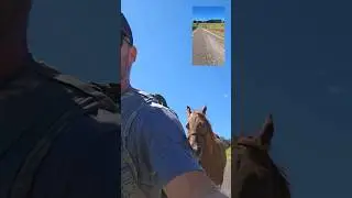 You Can't Win! Hahaha 🤣😂 #horse #fitness #running #motivation