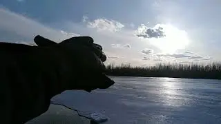Начало ледохода. The beginning of the ice drift