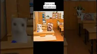#школа#английский #memes #lorax #машаимедведь #угар