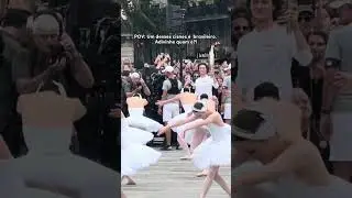 Um desses cisnes é Brasileiro