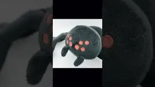 And What is its name? doors timothy Spider?
