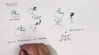 Beta lactamase inhibitors
