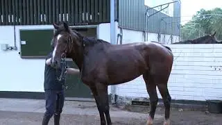 Olly Murphy Stable Tour - Garrettstown