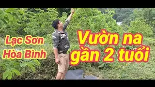 Vuon na
