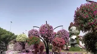 Dubai Miracle Garden