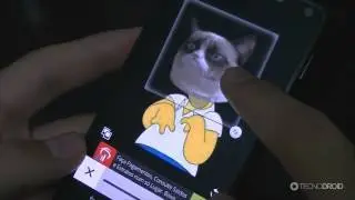 Coloque cabeças de animais em fotos com Animal Face (Android)