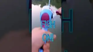 Daughters "Frozen" Rod! lol