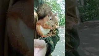 Модель ест грибочки / Model eats mushrooms