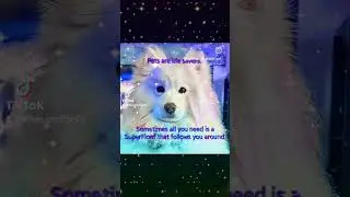 Send Me an Angel