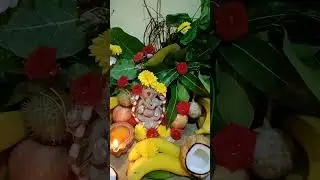 మా ఇంటి గణపయ్య 2024 || Raniram vlogs