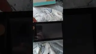 Why is my Nintendo Switch doing this 