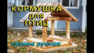 КОРМУШКА ДЛЯ ПТИЦ своими руками
