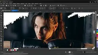 banner design social media