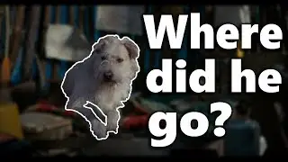 What happened to the Stranger Things dog?