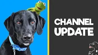 Borador Channel Update | Important News and Schedule Changes