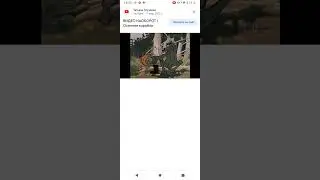 Осенние корабли наоборот
