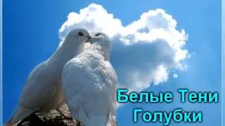 Белые тени-Голубки