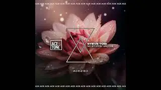 Steve Tosi - No Stoppin Groove (Original Mix)