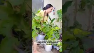 Tarik Rejeki dengan Kebahagiaan