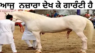 ਇੱਕ ਵੱਖਰਾ ਨਜ਼ਾਰਾ ਮਿੱਤਰੋ Faridkot Show 2021