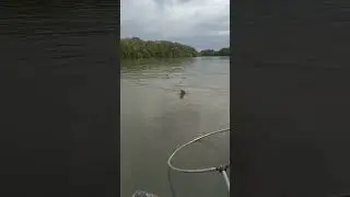 #fishing