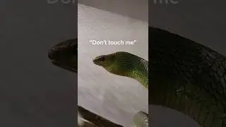 They want me DEAD! 