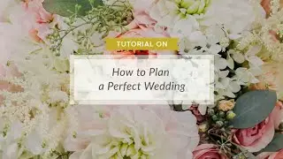 Weddingful tutorial #2  - How to Plan A Perfect Wedding